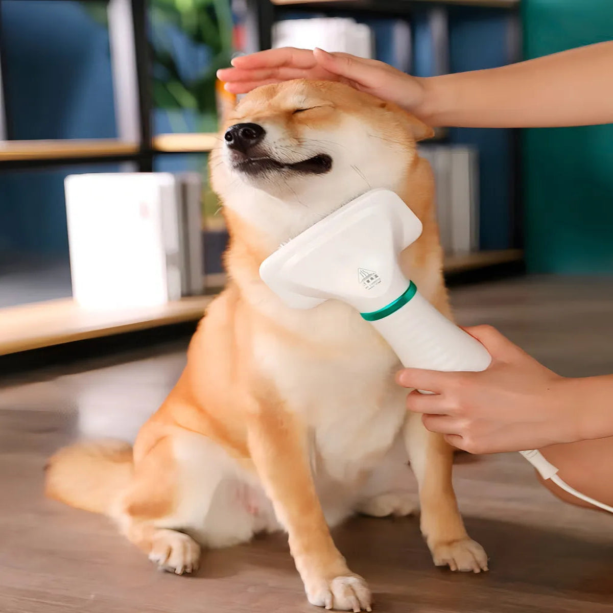 DryPet Pro™ – Cepillo Secador 2 en 1 para Mascotas